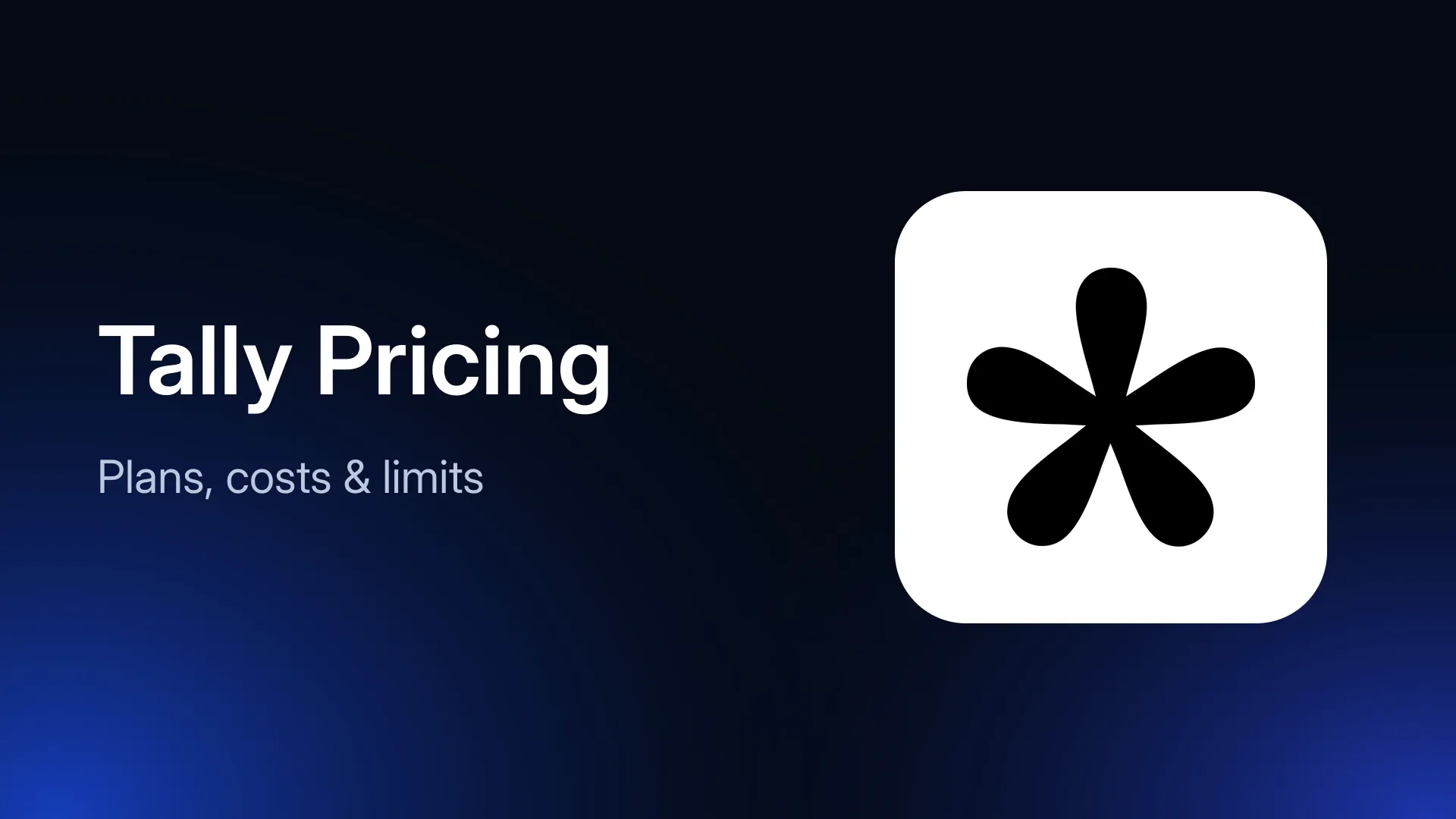 Tally Pricing in 2026: Plans, Costs, and Limits Explained